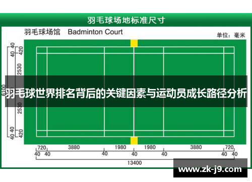 羽毛球世界排名背后的关键因素与运动员成长路径分析